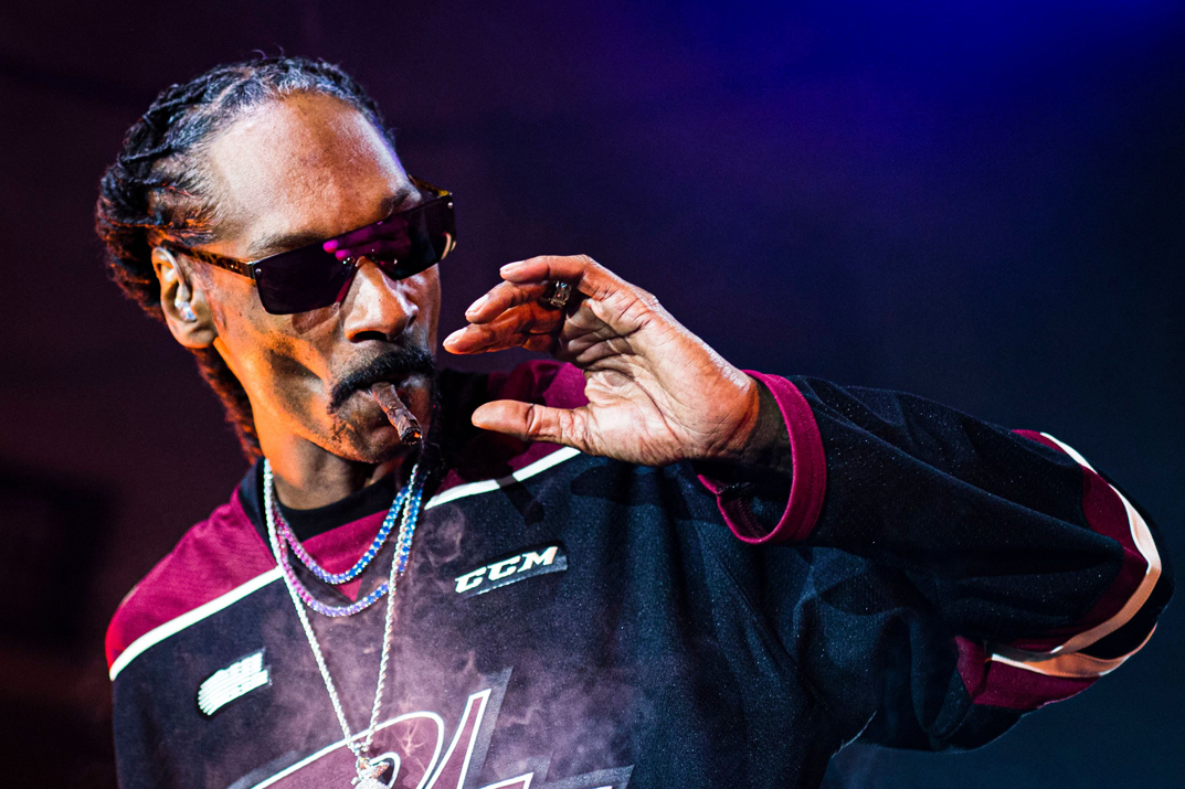 Snoop Dog's Smoking Habits: Some Factors