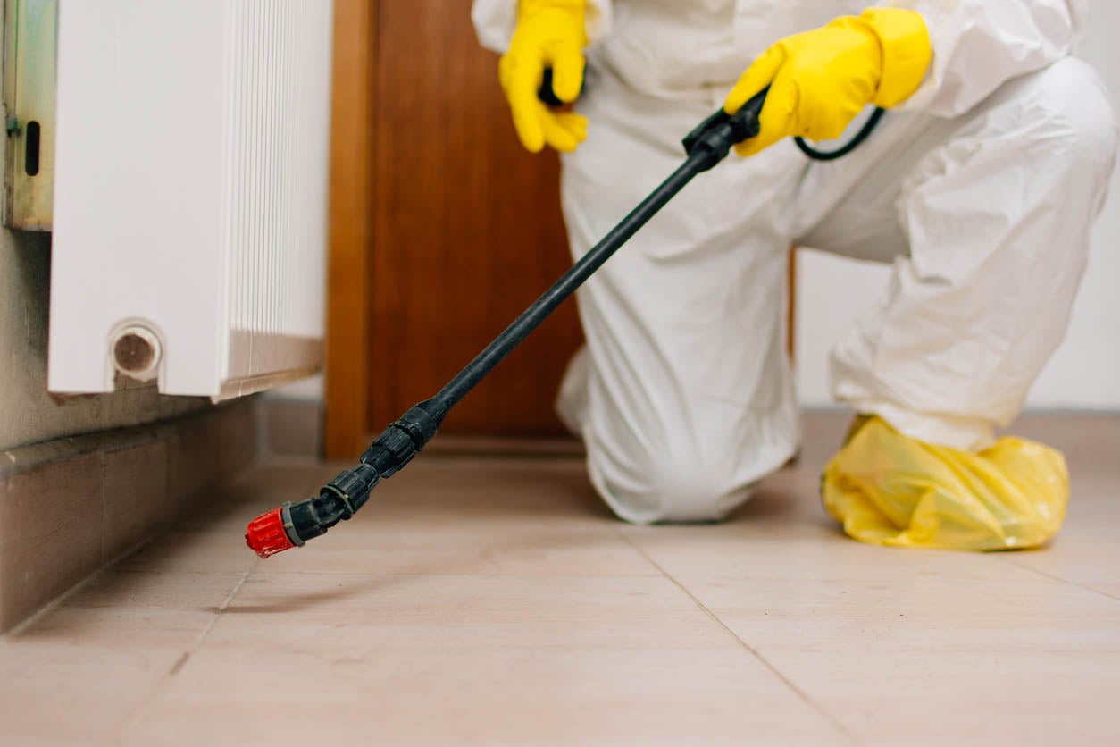 Expert Tips for Hiring the Best Pest Control Service